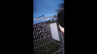 Sissy Sadie Humiliated by Public Wedgie
