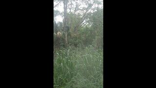 Caught Creepy Stranger Masturbating While Peaking At Me In The Woods While I Was Walking On The Trail