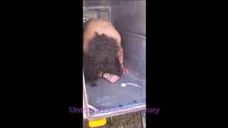 VOST engl - Cattle loaded into the truck.