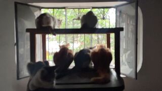 Watching the outside
