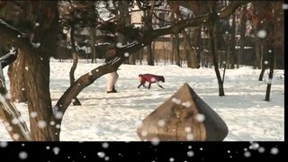 Young MILF Fucked and Creampied in Pussy by Big Hard Cock in the Snow