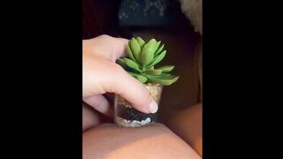 SOLITARY PLAY WITH TOYS SPARKS WILD ORGASM