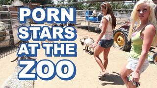 BANGBROS - Sexy Pornstars Invade Famous Zoo & Fuck Zookeeper