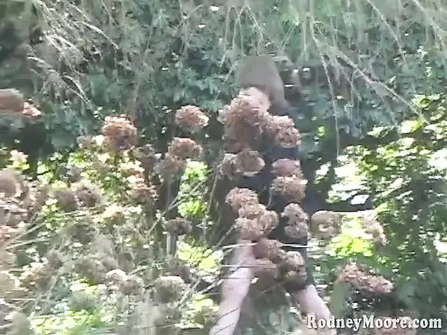 Vintage art college hairy chick gets fucked