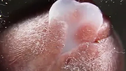 macro close up cumming on glass