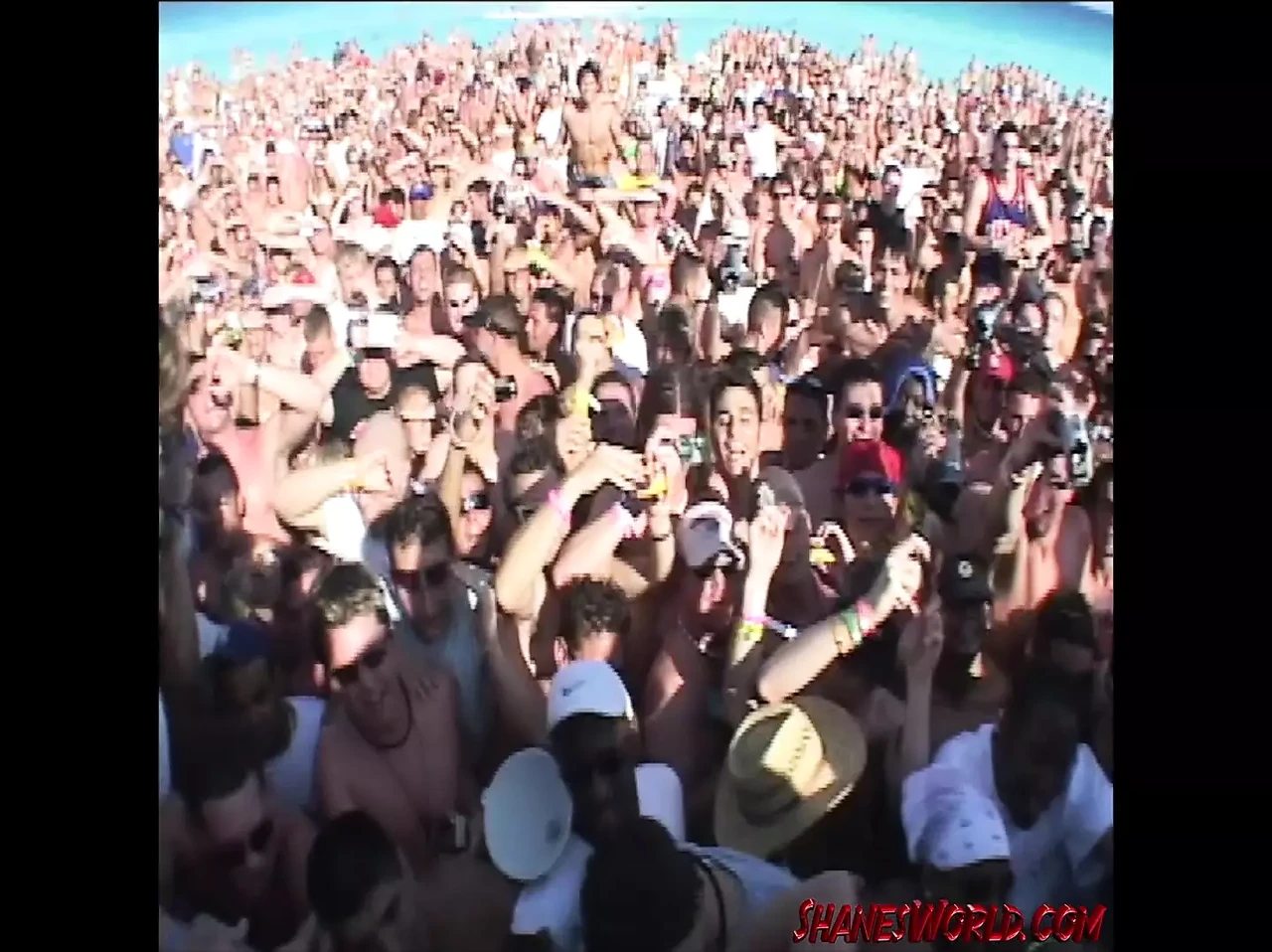 Calli Cox and Friends Are The Queens of Spring Break