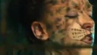 wildcat body paint