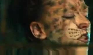 wildcat body paint