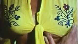 Teenage Bra Busters Big Tit Superstars Of The 70s (1976)