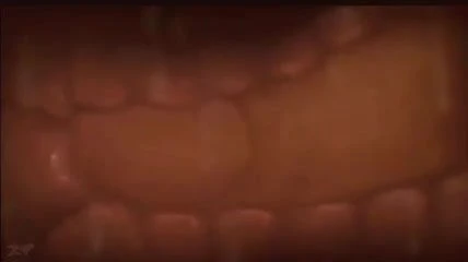 Creampie Animation