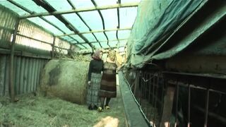 Orhidea the Whore Pig (film)