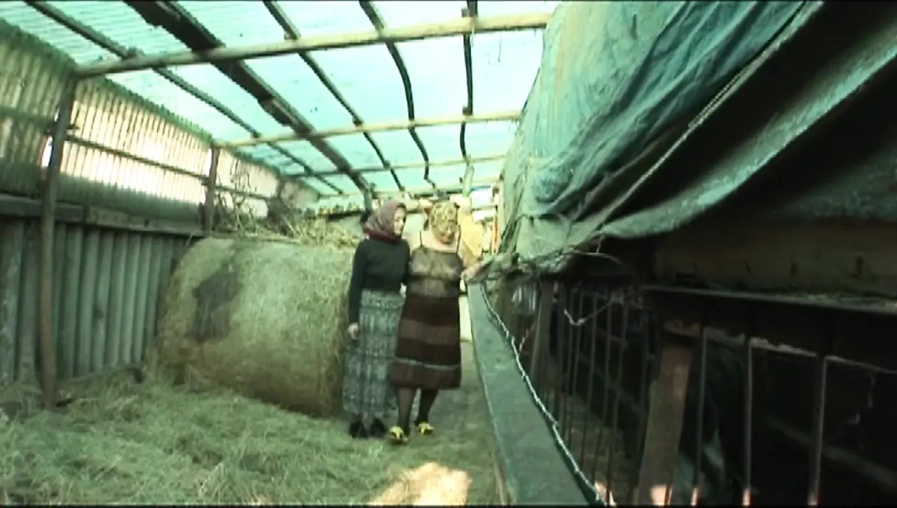 Orhidea the Whore Pig (film)
