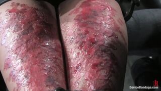 Bonus Update: Part 2 of the Nov Live Feed