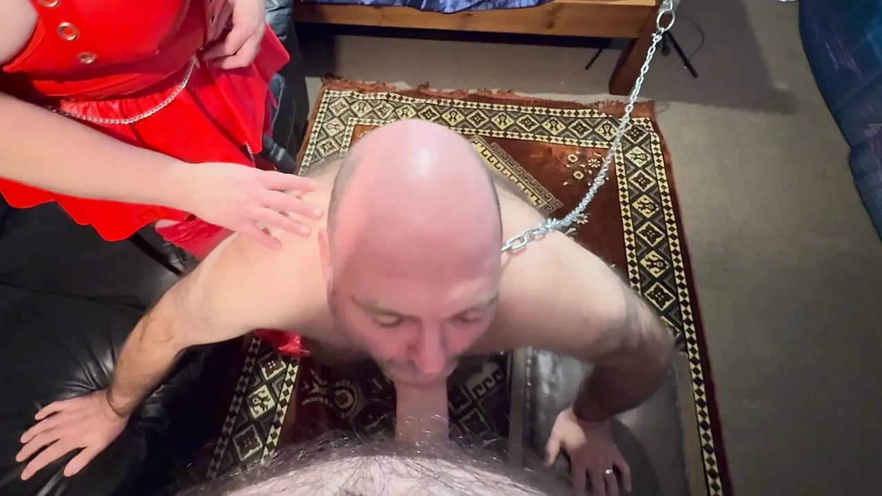Domina gets BooBoo to suck cock and get fucked!