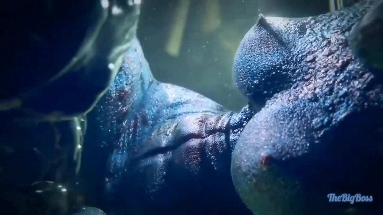 Argonian Wrinkled Alchemy