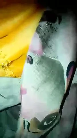 Burmese blowjob and fuck