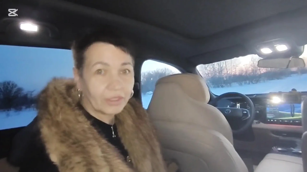 Winter Drive: Sex in the Car
